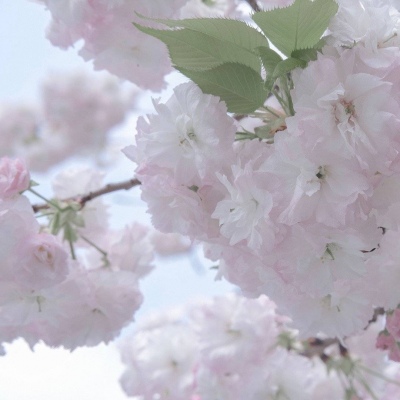 Furry兽设设计灵感合集福瑞交流群